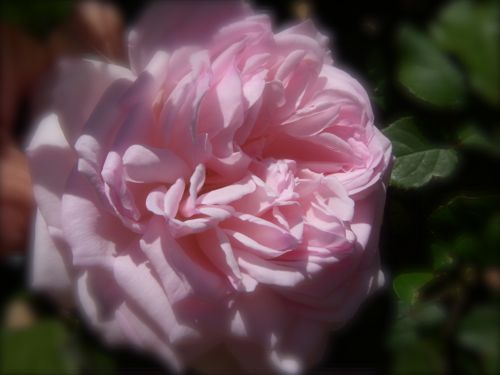 dscn1665